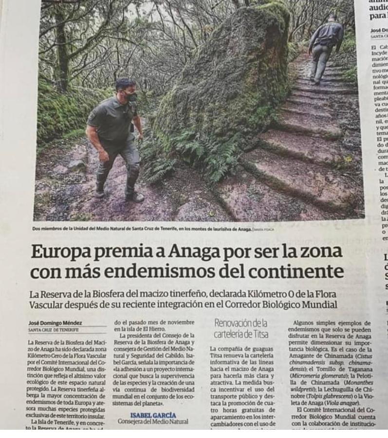 Lugar ideal para disfrutar de La Laguna y Anaga Las Mercedes Bagian luar foto