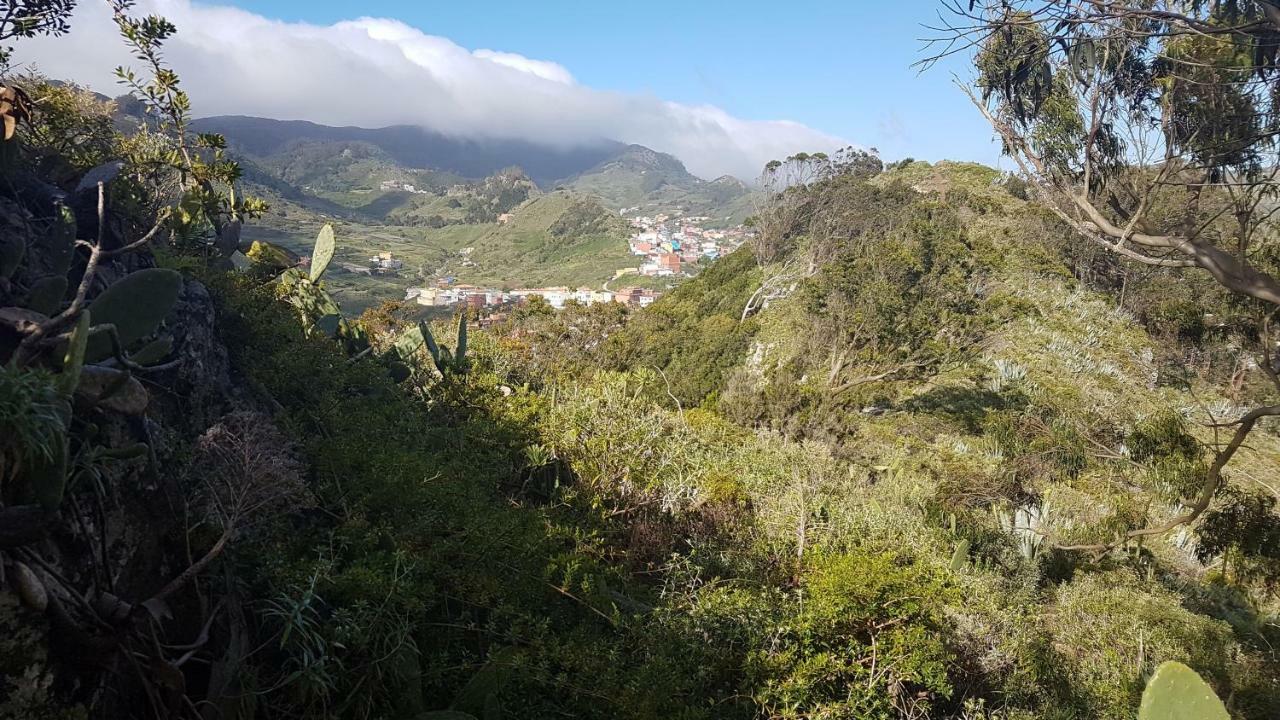 Lugar ideal para disfrutar de La Laguna y Anaga Las Mercedes Bagian luar foto