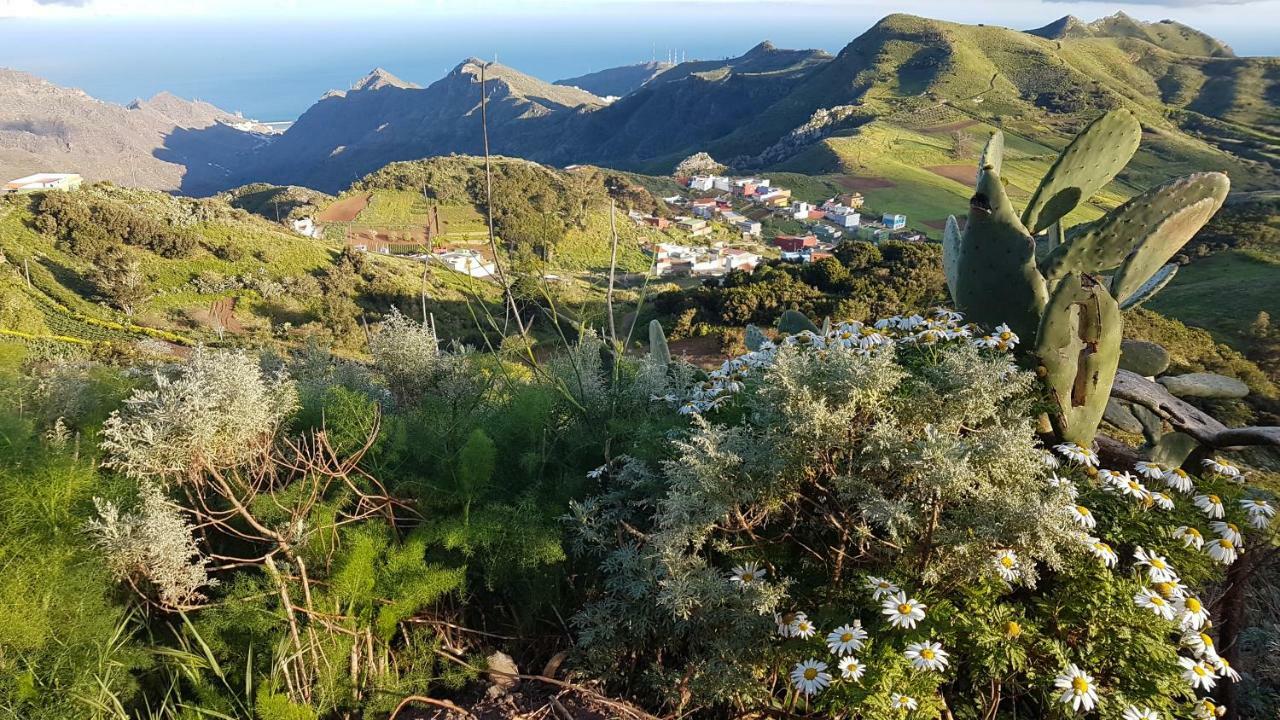 Lugar ideal para disfrutar de La Laguna y Anaga Las Mercedes Bagian luar foto
