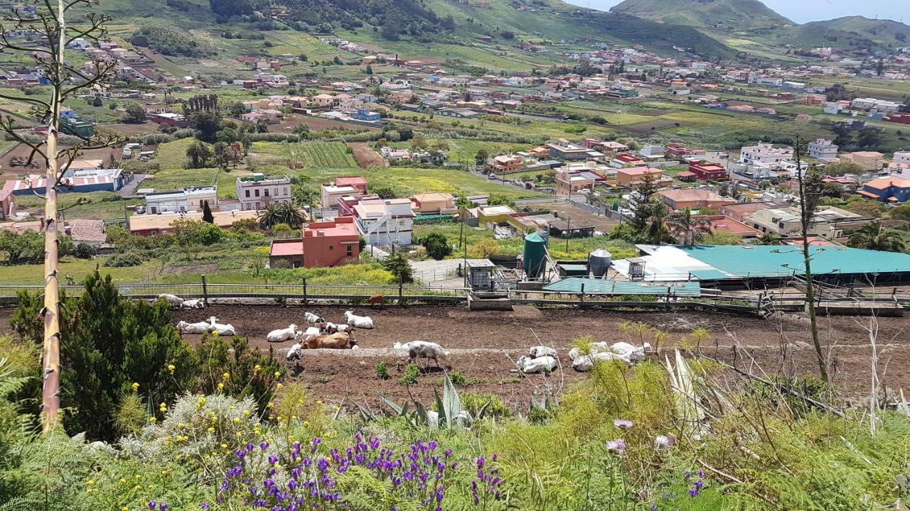 Lugar ideal para disfrutar de La Laguna y Anaga Las Mercedes Bagian luar foto